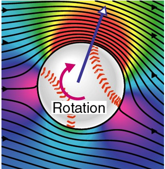 Consider a baseball thrown to the left, spinning clockwise and experiencing laminar flow as shown in the picture below. Based upon the wind speed pattern shown, comment on whether or not this would account for the ball's obtaining drag. Also, mention whether the ball shown is a good candidate for the Magnus force or for wake deflection.   
