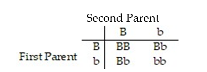 This problem deals with eye color, an inherited trait. For purposes of this problem, assume that only two eye colors are possible, brown and blue. We use b to represent a blue eye gene and B a brown eye gene. If any B genes are present, the person will have brown eyes. The table shows the four possibilities for the children of two Bb (brown-eyed)  parents, where each parent has one of each eye color gene.   Find the probability that these parents give birth to a child who has blue eyes. A)    B)  0 C)  1 D)   