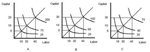 <strong>   -Refer to Figure above. Which graph represents decreasing returns to scale?</strong> A) A B) B C) C D) Both graph A and graph C <div style=padding-top: 35px> 