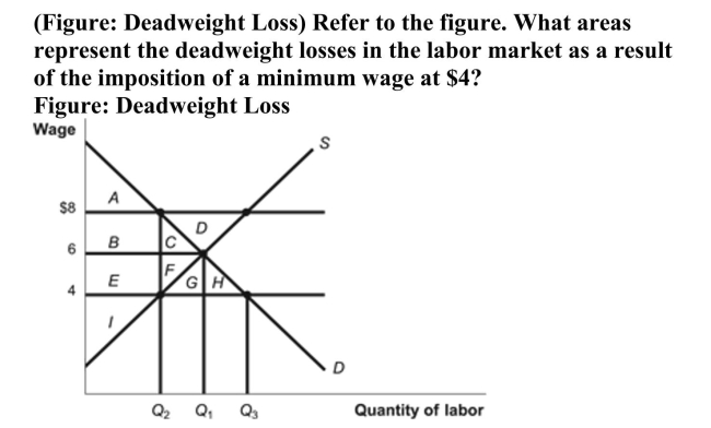   A) Areas (C + F)  B) Areas (B + C)  C) Area D D) There is no deadweight loss in this market as a result of the $4 minimum wage. 