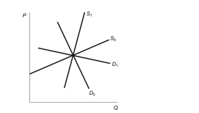 (Figure: Elasticities of Supply and Demand)  Whichcombination of demand and supply curves results in thegreatest tax burden to buyers? Figure: Elasticities of Supply and Demand   A) D0 and S0 B) D<sub>1</sub> and S<sub>1</sub> C) D0 and S<sub>1</sub> D) D<sub>1</sub> and S0 