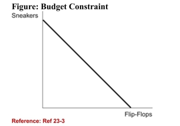   (Figure: Budget Constraint)  Refer to the figure. The slope ofthe budget constraint in the figure above is equal to: A) the price of sneakers divided by the price of flip- flops. B) the price of flip-flops divided by the price of gas.(True Answer ) Correct C) the quantity of flip-flops divided by the quantity of sneakers. D) the quantity of sneakers divided by the quantity of flip- flops. 