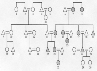   -In Figure 0801, what specific type of marriage does 27 have? A)  polygamous B)  polgynous C)  polyandrous D)  monogamous