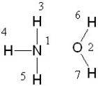 If liquid ammonia and water were mixed, between which two atoms in these molecules would a hydrogen bond form?   A)  between 1 and 3 B)  between 2 and 6 C)  between 3 and 2, 4 and 2, 5 and 2, 1 and 6, and 1 and 7 D)  Hydrogen bond formation is not possible between these two molecules.