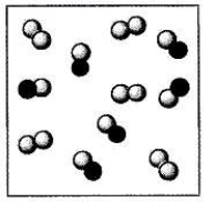 <strong>Carbon monoxide is reacted with oxygen and converted to carbon dioxide by the catalytic converter on automobiles: 2 CO(g) + O<sub>2</sub>(g) \rightarrow 2 CO<sub>2</sub>(g) Depicted below is a representation of a mixture of CO and O<sub>2</sub> in a catalytic converter (at the molecular level). The gray spheres represent oxygen atoms and the black spheres represent carbon atoms. For the mixture shown below, which species is the limiting reactant? </strong> A) CO<sub>2</sub> B) CO C) O<sub>2</sub> D) Insufficient information is given to determine.