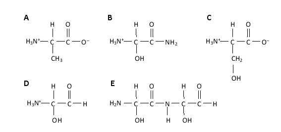 The amino acid serine has an amino group, a carboxyl group, and a hydroxyl group. Which of the following better represents the structure of this amino acid at neutral pH?