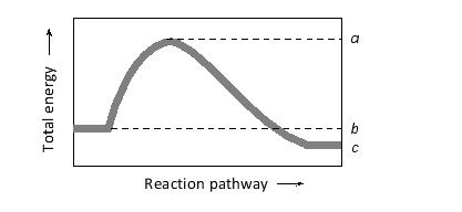 In the following diagram showing the reaction pathway for a simple single-substrate enzymatic reaction, which of the quantities corresponds to the activation energy of the forward reaction?   A)  (a - b)  B)  (a + b)  C)  (a - c)  D)  (a + c)  E)  (b - c) 