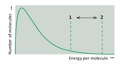 In the following diagram showing the distribution of thermal energy in a population of substrate molecules, the energy thresholds indicated by numbers represent ...   A)  the activation energy at high and low temperature. B)  the reaction rate at high and low pH. C)  the activation energy with and without an enzyme. D)  the reaction rate at high and low substrate concentrations. E)  the activation energy at high and low substrate concentrations.