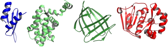 For each of the following cartoon representations from left to right, indicate whether the protein structure is composed of only ? helices (1), only parallel ? sheets (2), only antiparallel ? sheets (3), ? helices plus parallel ? sheets (4), or ? helices plus antiparallel ? sheets (5) as repetitive secondary structure elements. Your answer would be a four-digit number composed of digits 1 to 5 only, e.g. 5513.     Images created in PyMOL, from PDB entries 1STU, 2LPC, 1SA8, and 3BOB. 