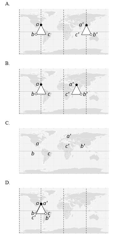 We can try to map the surface of a globular protein in two dimensions just like we depict the surface of the Earth in a world map. On such a map, the binding site of a molecule for other molecules of the same protein (for assembly into a multisubunit complex) can be marked. In the following maps, two molecules of the protein can bind if the points a, b, and c on the surface of one molecule can align to points a′, b′, and c′ in the other molecule, respectively. Which map corresponds to a protein whose assembly gives rise to a helix? Hint: the other maps correspond to a dimer, a ring, and a linear filament.  <div style=padding-top: 35px> 