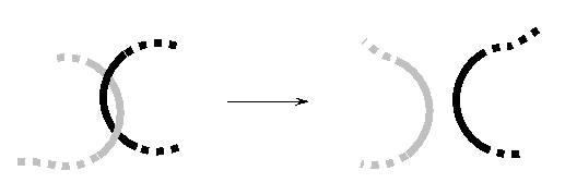 In the following schematic drawing, two DNA molecules are shown before and after the action of a protein that is also involved in the process of DNA replication. What is this protein called?   A)  DNA ligase B)  DNA helicase C)  DNA polymerase I D)  DNA topoisomerase I E)  DNA topoisomerase II