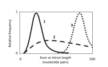 In the following qualitative histogram, which two curves better correspond to human exon and intron length distributions, respectively?   A)  Curves 1 and 2 B)  Curves 2 and 1 C)  Curves 2 and 3 D)  Curves 3 and 2 E)  Curves 3 and 1