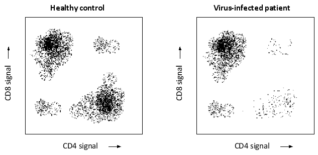 You have used fluorescence-activated cell sorting to separate blood T lymphocytes from a healthy person and a patient infected with a virus. To sort the cells, you used antibodies against two cell-surface receptors, CD4 and CD8, each conjugated to a different fluorescent dye. Based on the results below, which cell type do you think is depleted by the viral infection: CD4+ helper T cells (H) or CD8+ cytotoxic T cells (C)? In these dot plots, each cell is represented by a dot whose coordinates are the intensities of CD4 and CD8 signals. Write down H or C as your answer.    