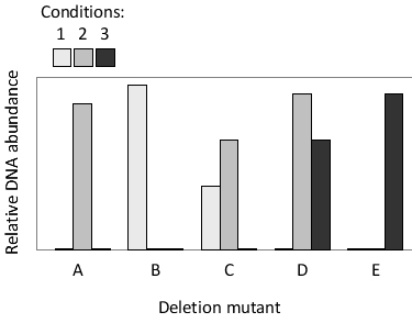 A pool of five barcoded yeast mutants, each deleted for a different gene (genes A to E), has been grown under three different conditions (1 to 3). After the growth phase was completed, genomic DNA was isolated from the entire pool and the relative amount of each mutant was determined by quantifying the amount of DNA containing each barcode. The results are presented in the following graph. Which gene (A to E) is essential under condition 1 but not under conditions 2 or 3?   