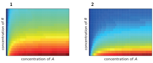 The quantitative output of a gene depends in part on the relative affinities of transcription regulators. In the following graphs, the red color indicates high gene expression and blue color indicates low gene expression. The expression level is plotted as a function of the concentrations of two transcription regulatory proteins, an activator (A)  and a repressor (R) . Every other parameter being identical, which graph corresponds to a system where the affinity of protein A for the cis?-regulatory sequences is higher than that of protein R? Which graph corresponds to a system that shows a  leakier  expression?   A)  Graph 1; Graph 1 B)  Graph 1; Graph 2 C)  Graph 2; Graph 1 D)  Graph 2; Graph 2
