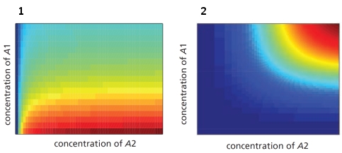 In the schematic graphs below, the red color indicates high gene expression and blue color indicates low gene expression. The expression level is plotted as a function of the concentrations of two transcription regulatory proteins, A1 and A2. Which graph (1 or 2) do you think corresponds to an  AND NOT  combinatorial logic? Write down 1 or 2 as your answer.    