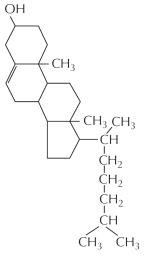 Which of the following is NOT correct regarding the molecule whose structural formula is shown below?   A)  It is an amphiphilic molecule. B)  It is a sterol. C)  It makes the membrane less permeable to small hydrophilic molecules. D)  It is found in membranes of virtually all living cells. E)  It affects the fluidity of the lipid bilayer.
