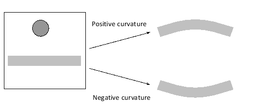 In the schematic drawing below, a protein is present on one side of a membrane in a high-enough quantity to induce curvature in this region of the membrane. In each of the following scenarios, indicate whether the protein would induce positive (P) or negative (N) curvature in the membrane. Your answer would be a three-letter string composed of letters P and N only, e.g. PPP.     ( )	The protein inserts a hydrophobic domain into the membrane leaflet that is facing it. ( )	The protein is a phospholipase that cleaves the head group in specific phospholipids. ( )	The protein binds cooperatively to multiple phospholipids with very large head groups. 
