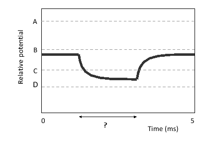 A membrane potential is plotted over time in the following graph. The Nernst equilibrium potentials for four ions (A to D) that affect the membrane potential in this system are indicated in the graph. What happened in the time period indicated by a question mark?   A) Channels conducting ion A opened. B) Channels conducting ion B opened. C) Channels conducting ion C opened. D) Channels conducting ion D opened. E) Channels conducting ion A and C opened.