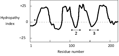 Considering the Following Hydropathy Plot for a Multipass Transmembrane ...