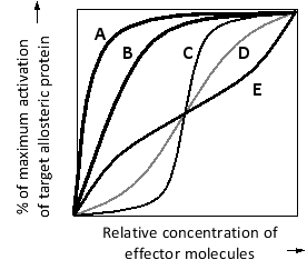 In the following simplified diagram, the activation of a hypothetical allosteric protein is plotted as a function of effector molecule concentration. Which curve (A to E) do you think corresponds to a condition in which activation requires the highest number of effector molecules bound to each protein?   
