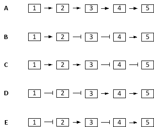 In the following schematic diagrams of ethylene signaling in plants, 1 denotes ethylene, 2 denotes ethylene receptor, 3 denotes CTR1, 4 denotes EIN3, and 5 represents the expression of ethylene-responsive genes. Which diagram better depicts the signaling pathway? Activation and inhibition are indicated as normal and blunt arrows, respectively.  <div style=padding-top: 35px> 