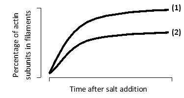 <strong>The time courses of seeded actin polymerization under two different conditions are compared in the following graph. If the overall kₒn for polymerization is known to be the same under both of these conditions, which curve-(1) or (2)-corresponds to the condition with a higher kₒff rate constant? Which one corresponds to a higher Cc for polymerization? </strong> A) Curve (1); curve (1) B) Curve (1); curve (2) C) Curve (2); curve (1) D) Curve (2); curve (2) E) Curve (2); both curves have the same Cc.