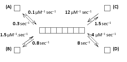 Consider the ATP-bound and ADP-bound forms of actin and the polarized nature of the actin filaments. In the following diagram that shows the various actin polymerization rate constants (k?n and k?ff values), which monomer corresponds to an ADP-bound actin incorporated at the plus end?   