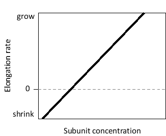 In the following graph of actin elongation rates under different subunit concentrations, which of the following corresponds to the slope of the line?   A)  kₒn B)  kₒff C)  kₒn/kₒff D)  kₒff/kₒn E)  kₒn - kₒff