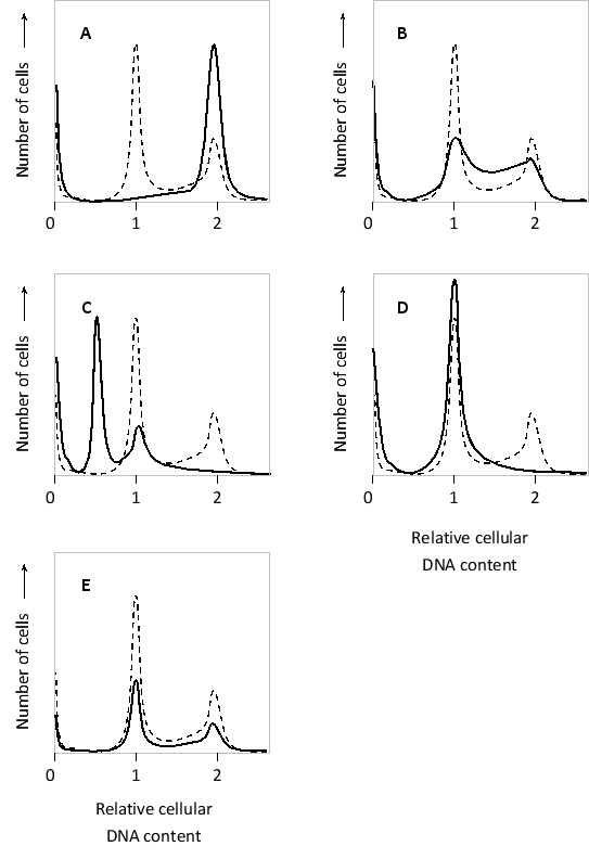 Resveratrol is a natural compound found in red grapes (and red wine) and is thought to have beneficial effects in mammals, such as preventing tumor growth and delaying age-related diseases. In vitro, resveratrol and its derivatives have been shown to cause cell-cycle arrest in S phase and induce apoptosis. You have analyzed the DNA content of cultured cells in the presence and absence of these drugs using fluorescence-activated cell sorting. Compared with control cells (dashed line), which of the following curves do you think better represents the DNA content of cells treated with these compounds?