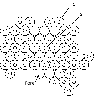 In the following schematic drawing of connexons as seen from the cytosol of a cell, what is the approximate diameter of each of the pores? Which of the indicated connexons (1 or 2)  is more likely to have been incorporated more recently?   A)  About 20 nm; connexon 1 B)  About 4 nm; connexon 1 C)  About 1.5 nm; connexon 1 D)  About 4 nm; connexon 2 E)  About 1.5 nm; connexon 2