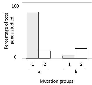 You have analyzed a large set of human cancer-critical genes for a selected group of carcinomas, classifying each of the genes based on whether they are known to undergo somatic or germ-line mutations, as well as based on whether they are dominant or recessive. You then group them and plot the statistics in the following histograms. Which group (a or b)  do you think represents somatic, as compared to germ-line, mutations? Which group (1 or 2)  do you think represents dominant, as compared to recessive, mutations? (Note that the sum of percentages of somatic and germ-line mutations is more than 100%, since some genes are mutated in both somatic and germ cells) .   A)  a; 1 B)  a; 2 C)  b; 1 D)  b; 2