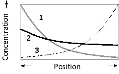 The following graph qualitatively represents the gradients of Nodal and Lefty gene products in an early frog embryo. The position along which primary axis is defined by these gradients? Which curves correspond to these two proteins?   A)  D-V axis; curves 1 and 2 B)  D-V axis; curves 1 and 3 C)  A-V axis; curves 1 and 2 D)  A-V axis; curves 1 and 3