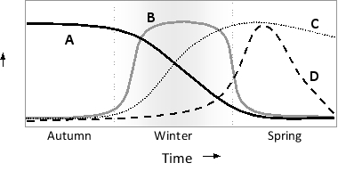 The qualitative graph below shows the molecular changes accompanying vernalization in the flowering plant Arabidopsis thaliana. Indicate which curve (A to D) in the graph better represents the temporal changes in each of the following variables. Your answer would be a four-letter string composed of letters A to D only, with each letter used once, e.g. BACD.     ( )	Level of Coolair noncoding RNA ( )	Level of Flowering locus C (FlC) gene product (transcriptional repressor) ( )	Level of Flowering locus T (Ft) gene product (transcriptional activator) ( )	Level of repressive chromatin marks at the FlC locus 