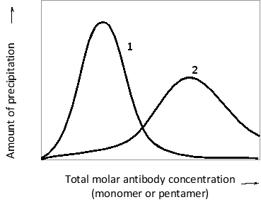Antigens and antibodies can form large, insoluble, cross-linked aggregates that precipitate from solution. The maximal amount of precipitant is observed at a certain antigen/antibody ratio; adding either excess antigen or excess antibody can prevent (or even reverse) the precipitation. Consider an antigen with multiple identical antigenic determinants that can be recognized by either bivalent or decavalent (i.e. pentameric) antibodies with binding sites that recognize the determinants. The amount of precipitation in the presence of a constant antigen concentration is plotted as a function of antibody concentration in the following qualitative graph. Which curve (1 or 2) in the graph do you think corresponds to the bivalent antibody? Would you expect to see such a bell-shaped curve if the antibodies were monovalent?   A) Curve 1; yes B) Curve 2; yes C) Curve 1; no D) Curve 2; no E) Curve 2; only if the antigen was also monovalent