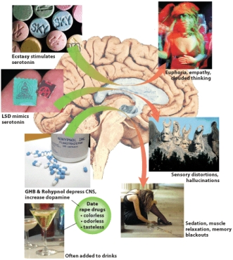 Which of the following is not true of club drugs?   A)  They increase the likelihood of contracting AIDS. B)  They increase reaction time.  C)  They affect sensory perceptions. D)  They can cause serious health problems.