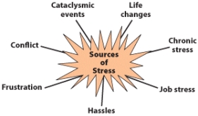A  stressor  is defined as _______.   A)  a trigger that prompts a stressful reaction B)  the physiological reaction of the body to environmental factors C)  a negative emotion resulting from environmental unpleasantness D)  the nonspecific response of the body to any demand made on it