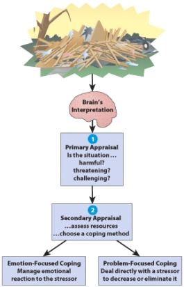 Problem-focused forms of coping strategies emphasize _____. A) the problem-solving set B) decreasing or eliminating the source of stress C) eliminating the pain caused by the stressor D) the problem-solving component