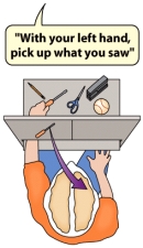 The situation in which a person is blindfolded and cannot verbally identify objects placed in her left hand suggests that they have had _____.   A)  a dyslexic episode B)  split-brain surgery C)  too much to drink D)  a lateralization of her brain hemispheres