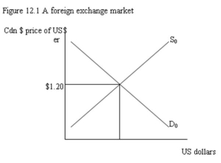  -Refer to Figure 12.1. In terms of the diagram an increase in US interest rates would: A)  shift D<sub>0</sub> out and S<sub>0</sub> in, causing a rise in the exchange rate. B)  shift D<sub>0</sub> out and S<sub>0</sub> out, causing a fall in the exchange rate. C)  shift D<sub>0</sub> in and S<sub>0</sub> in, leaving the exchange rate unchanged. D)  shift D<sub>0</sub> in and S<sub>0</sub> out, having no effect on the exchange rate.