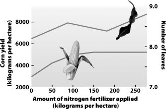Which statement best summarizes the information presented in the graph below?   A) There is a strong correlation between the amount of applied fertilizer and the average number of leaves per corn plant. B) Higher applications of fertilizer produce proportional increases in corn yield. C) Fertilizer application is a cost-effective means of increasing farm profits. D) Leaf growth represents energy not directed to corn production and the two variables show a negative correlation.