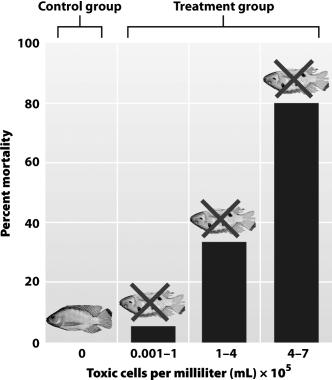 The graph below shows the 16-hour mortality resulting from exposing talapia to different concentrations of the dinoflagellate Pfiesteria.   Had high mortality occurred in the control group it would indicate that A) a more robust fish species should be used; the experiment had a fundamental design flaw. B) the talapia had an undiagnosed preexisting illness at the beginning of the experiment. C) Pfiesteria was not the toxic agent responsible for the death of the fish. D) talapia is not suitable for captive experiments.