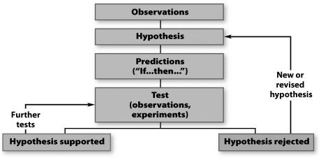 The figure below represents the steps in the scientific method.   Dr)  JoAnn Burkholder believed the wrong strains of Pfiesteria were used by independent laboratories looking for fish-killing toxin. What step in the figure above would her contention represent? A) observation B) hypothesis C) prediction D) test