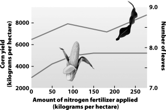 Which statement best summarizes the information presented in the graph below?   A) Higher applications of fertilizer produce proportional increases in corn yield. B) Fertilizer application up to 200 kg/hectare is a cost-effective means of increasing farm yields and profits. C) Proportional increases in irrigation are needed to maximize the growth potential of applied fertilizer. D) Factors other than fertilizer availability can limit the yield of corn.