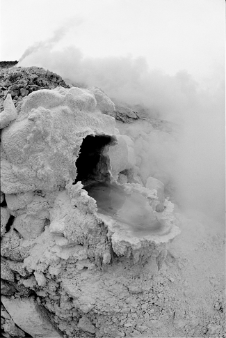 The photograph below shows Sulfolubus, an archaean that lives in environments with very high temperatures.   What hypothesis can explain the extreme habitats of the archaeans? A) They came to Earth from other planets, where harsher conditions prevail. B) They would be more widespread, but are unable to successfully compete with bacteria and now occupy habitats where bacteria cannot live. C) Archaeans evolved when Earth was much less hospitable, and are now relegated to those habitats most similar to early Earth. D) Numerous food resources are available and unexploited in Earth's extreme habitats.
