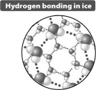 Based only on the illustration below it could be predicted that ice floats on liquid water because   A) the crystal structure of ice is more regular than that seen in liquid water. B) the distance between water molecules in ice is greater than in liquid water. C) the cool temperature of ice reduces the extent of molecular motion relative to liquid water. D) when ice forms the hydrogen bond in the water molecule becomes nonpolar; ice behaves like oil.