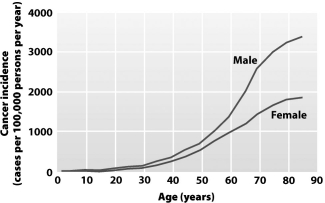 Examine the graph below.   This graph shows that the A) rate of cancer diagnosis increases for both genders with increasing age. B) mortality rate for cancer increases more rapidly in older men than in older women. C) probability of acquiring cancer for both genders becomes greater than 50 percent after age 80. D) majority of individuals living to age 80 or beyond will be diagnosed with cancer.