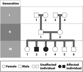 The figure below contains a pedigree for cystic fibrosis, an autosomal recessive disorder. Which of the following is true?   A)At least two of the members of Generation I are carriers of cystic fibrosis. B)None of the members of Generation II is a carrier of cystic fibrosis. C)Individual 2 in Generation II has cystic fibrosis. D)The cystic fibrosis gene is found on a sex chromosome.