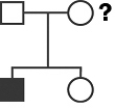This pedigree diagrams an X-linked gene. The individual indicated by the question mark is _____ for the gene.   A) heterozygous B) homozygous C) autosomal D) There is not enough information to determine the answer.