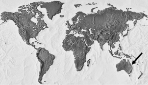 In the figure below, the region indicated by the arrow is the only modern-day location of the freshwater lungfish. Fossils of the ancestors of the lungfish, however, have been found all over the world (dots throughout map) . What does the distribution of these fossils indicate?   A) When Pangaea separated to form our continents, the living ancestors of the lungfish were separated. When they died, some of them formed fossils in their new lands. B) The same species of lungfish evolved on all of Earth's major landmasses after continental drift had stopped. C) The ancestors of the lungfish existed on Pangaea. After they died, some were fossilized. Their fossils were separated by continental drift. D) Lungfish were much more successful in the climates of North America than they were in the climates of South America.